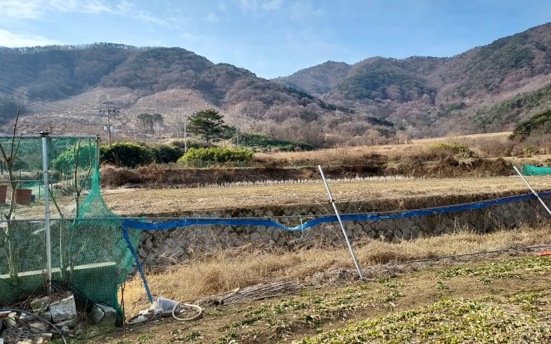 [칼럼]놀고, 즐기고 그런 때인가!!