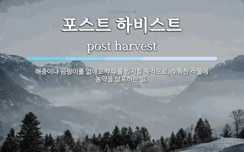 【수확후 농약살포(포스트 하비스트)!???】