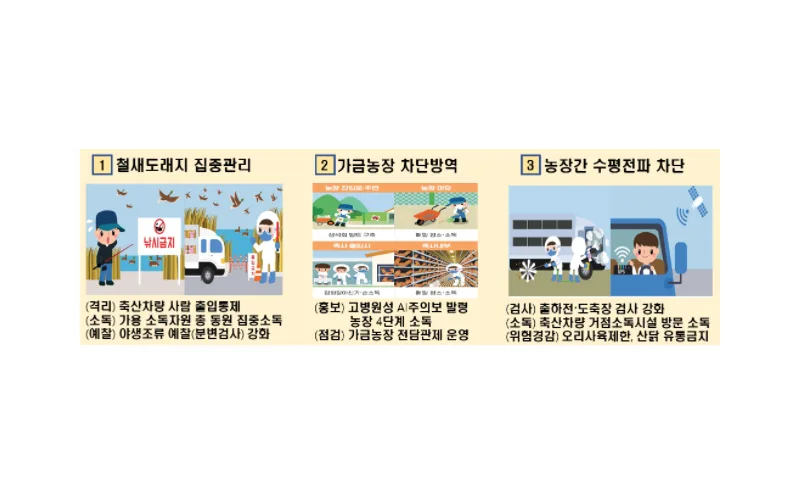 고병원성 조류인플루엔자 확산 방지를 위한 총력 대응