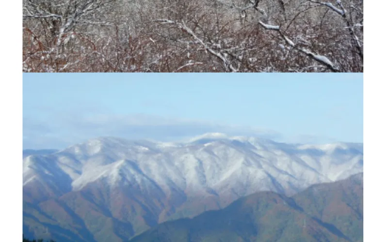 12월의 국유림 명품숲, 백두대간 최북단 ‘향로봉’ 선정