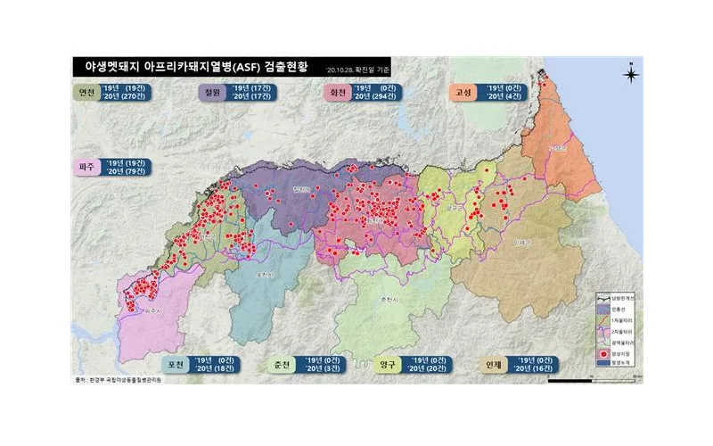 야생멧돼지 아프리카돼지열병 발생 및 대응상황(10월 22일~28일)