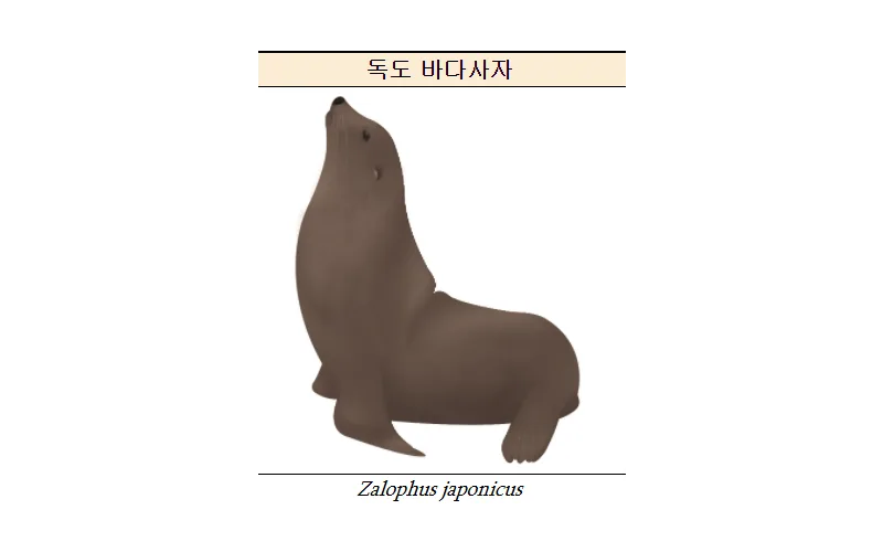 울릉도에 강치가 살았다...현대 과학으로 밝혀져