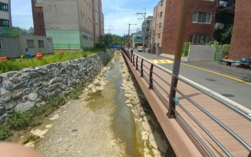 배보다 배꼽이 더 큰 하천 정비 사업