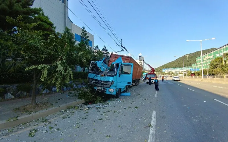 희안한 교통사고